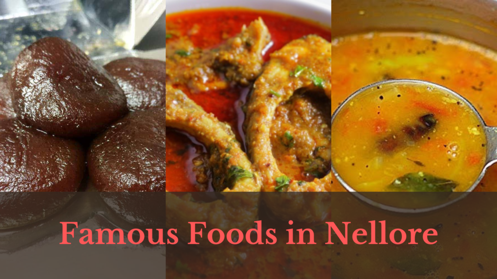 Best Veg and Non-veg Foods in Nellore